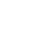 Sinara consultancy services icon